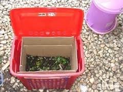 images_134